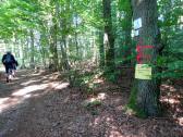  Blick auf die Wanderstrecke 